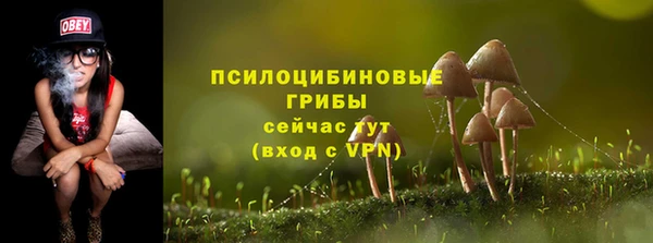 мескалин Абаза